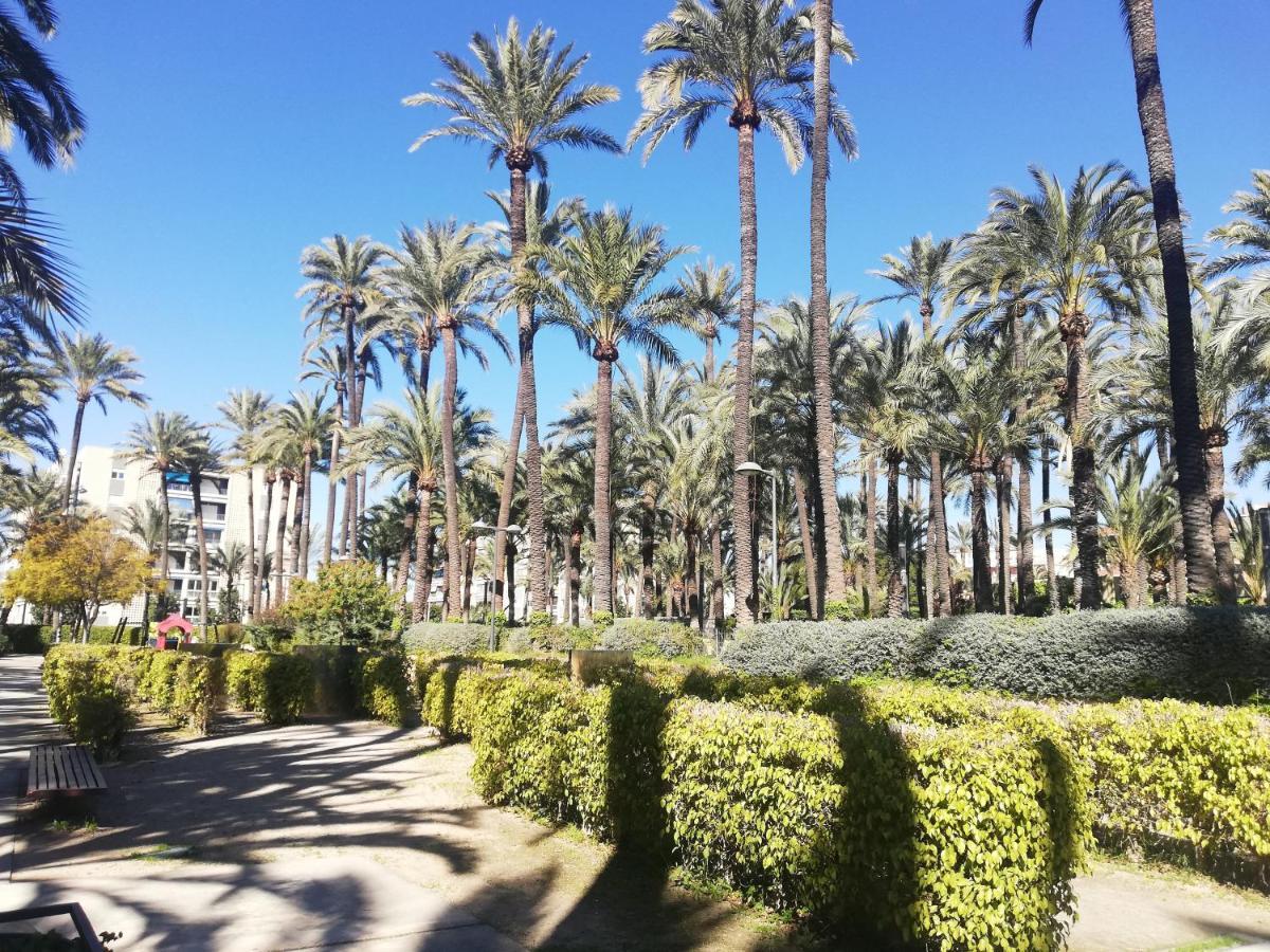 Santa Pola Salamanca 10 Apartamento, Garaje Subterraneo, Fibra Optica, Lavavajillas, Aire Acondicionado, Gran Terraza, Grand Playa 450M ภายนอก รูปภาพ